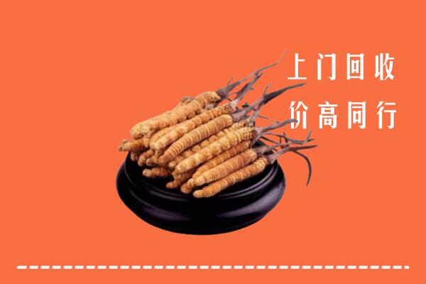 高价求购：安阳市滑县回收散虫草