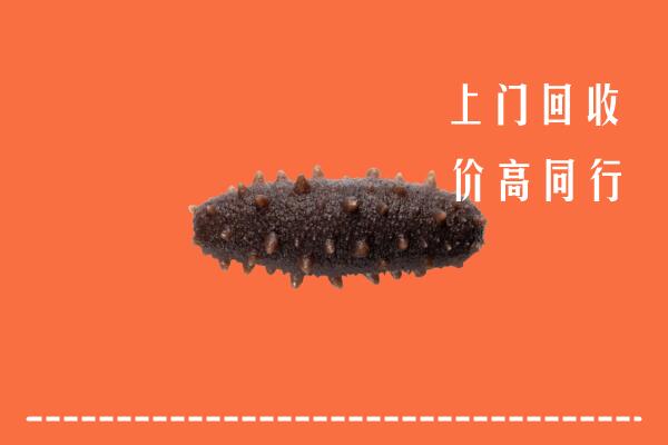 高价求购：安阳市滑县回收海参