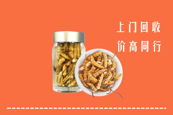 安阳市滑县回收冬虫夏草